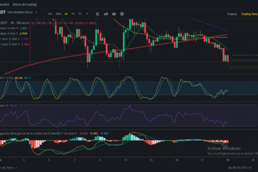 Análisis diario de XRP (Ripple) – 19/01/2024