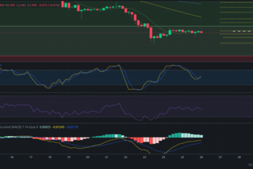 Precio de COTI hoy – 26/01/2024