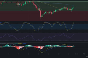 Precio de COTI hoy – 31/01/2024