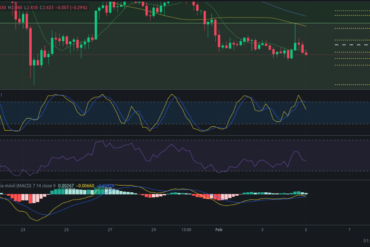 Precio de criptomoneda COTI hoy – 05/02/2024