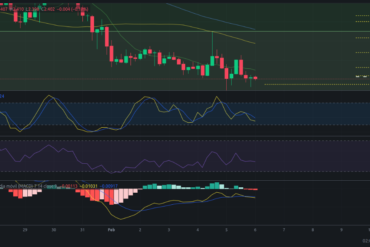 Precio de criptomoneda COTI hoy – 06/02/2024