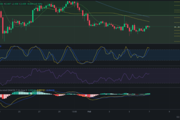 Precio de criptomoneda COTI hoy – 07/02/2024