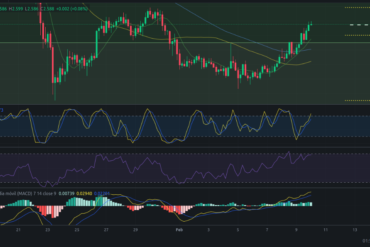 Precio de criptomoneda COTI hoy – 10/02/2024