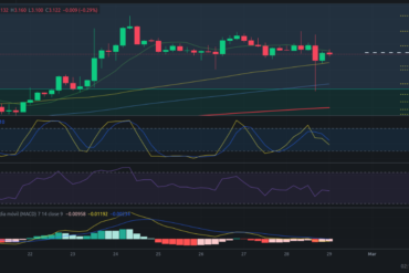 Precio de criptomoneda COTI hoy – 29/02/2024