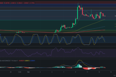 Precio de Zilliqa (ZIL) hoy – 13/02/2024