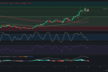 Precio de criptomoneda COTI hoy – 19/02/2024