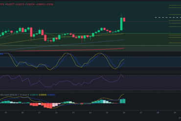 Precio de criptomoneda COTI hoy – 27/02/2024