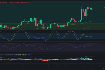 Precio de criptomoneda COTI hoy – 29/02/2024