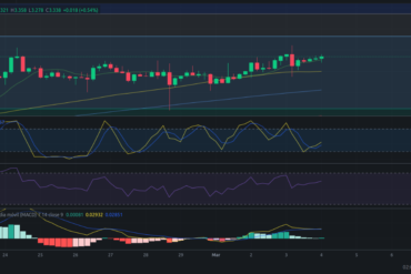 Precio de criptomoneda COTI hoy – 04/03/2024