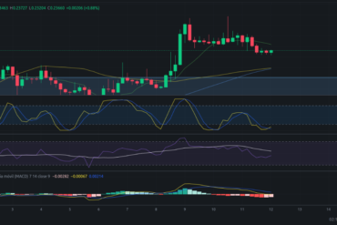 Precio de ZIL (Zilliqa) hoy – 11/03/2024