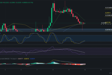 Precio de criptomoneda COTI hoy – 12/03/2024