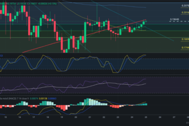 Precio de cripto ETC (Ethereum Classic) hoy – 24/03/2024