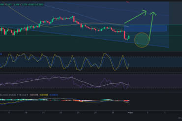 Precio de criptomoneda COTI hoy – 30/04/2024