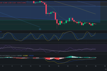 Precio de criptomoneda COTI hoy – 17/04/2024