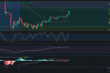 Precio de criptomoneda COTI hoy – 24/04/2024