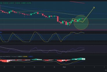 Precio de criptomoneda COTI hoy – 03/05/2024