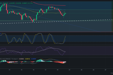 Precio de criptomoneda COTI hoy – 20/05/2024