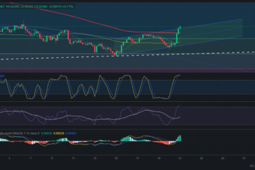 Precio de criptomoneda COTI hoy – 21/05/2024