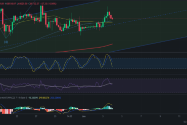 Precio de cripto ETC (Ethereum Classic) hoy – 03/06/2024