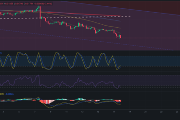 Precio de criptomoneda COTI hoy – 18/06/2024