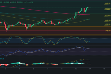 Pronóstico de COTI – Precio de cripto COTI hoy – 16/07/2024