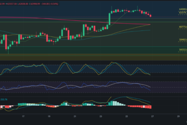 Predicción para COTI 27/08/2024 – Precio de cripto COTI hoy