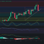 Bitcoin hoy 19/12/2024 – Precio de Bitcoin