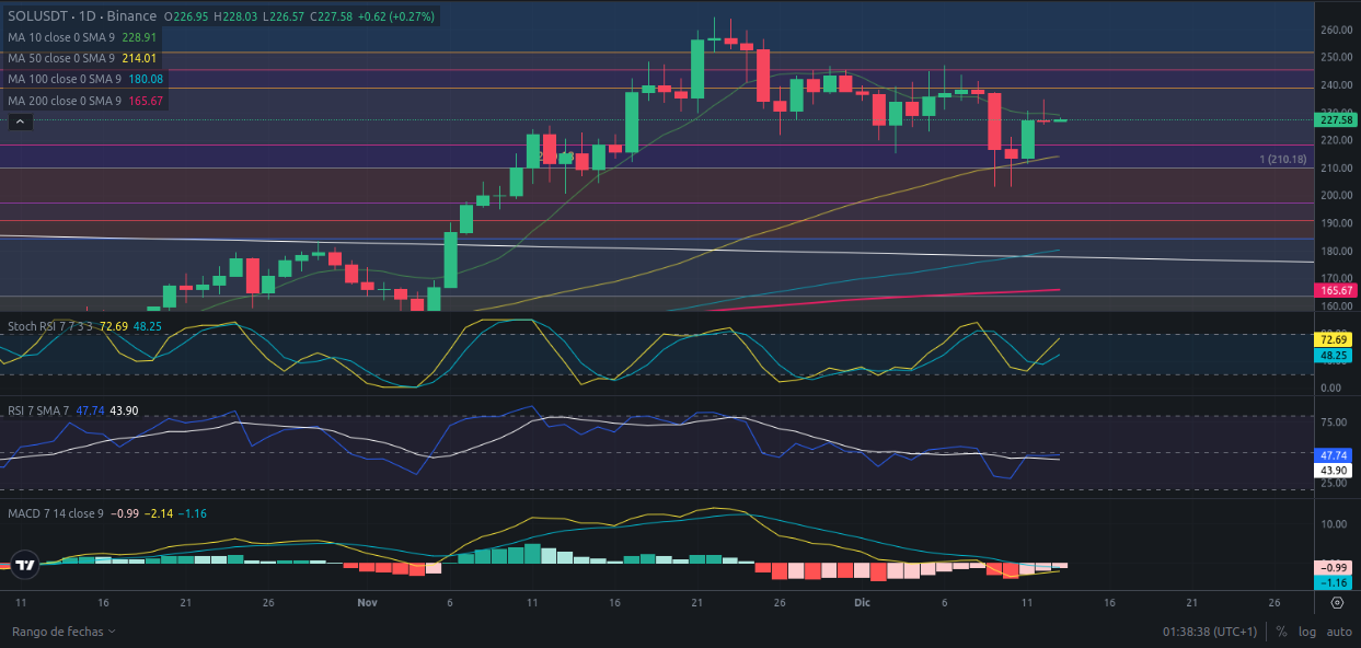 Predicción de SOLANA  13/12/2024 - Análisis diario de SOLANA - Ideas de trading para SOL SOLANA -Precio de SOLANA (SOL) hoy